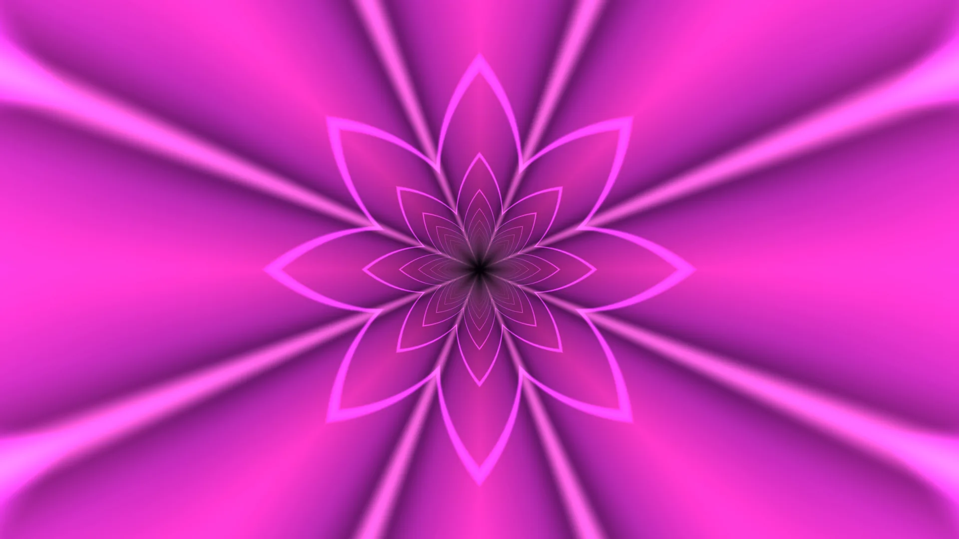 Magenta lotus geometry with radiating light — magenta wallpaper at 3840x2160