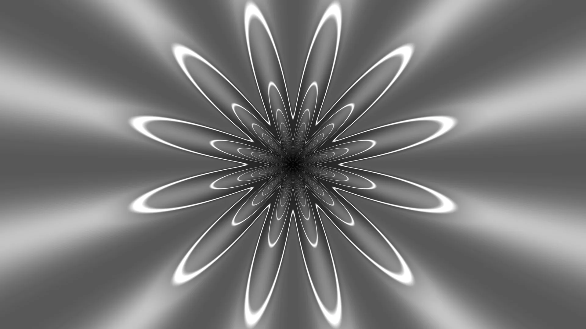 Monochrome radial flower of luminous loops — radial flower wallpaper at 3840x2160