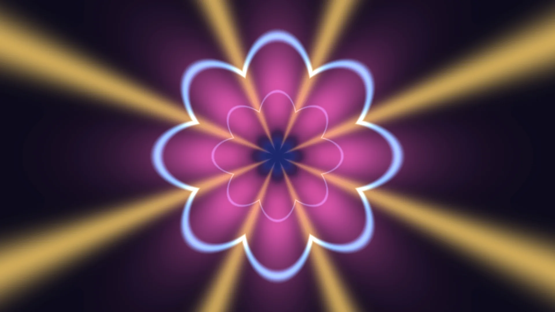Neon magenta flower with golden rays — neon flower wallpaper at 3840x2160