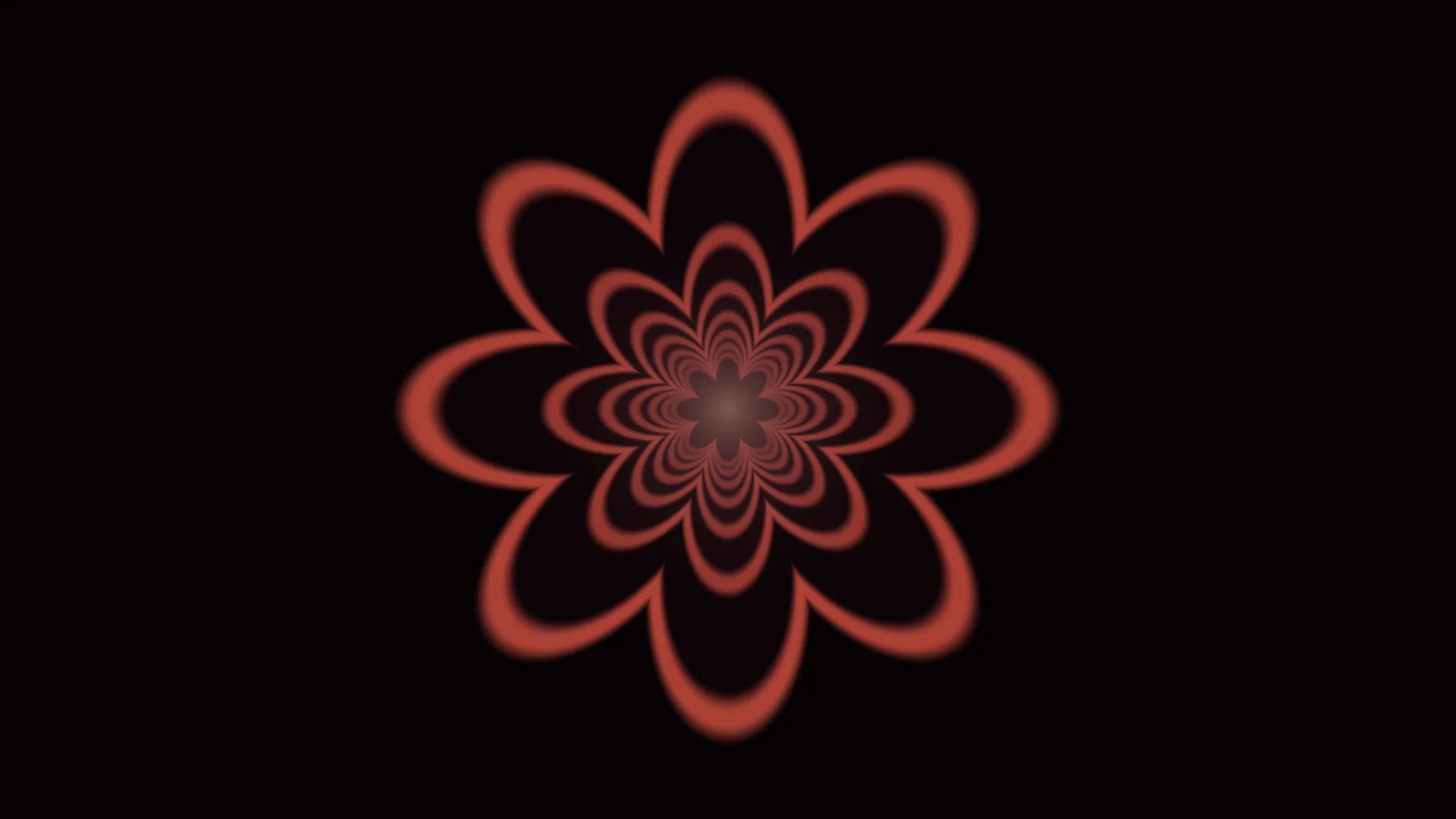 Terracotta Rosette on a Field of Black — rosette wallpaper at 3840x2160